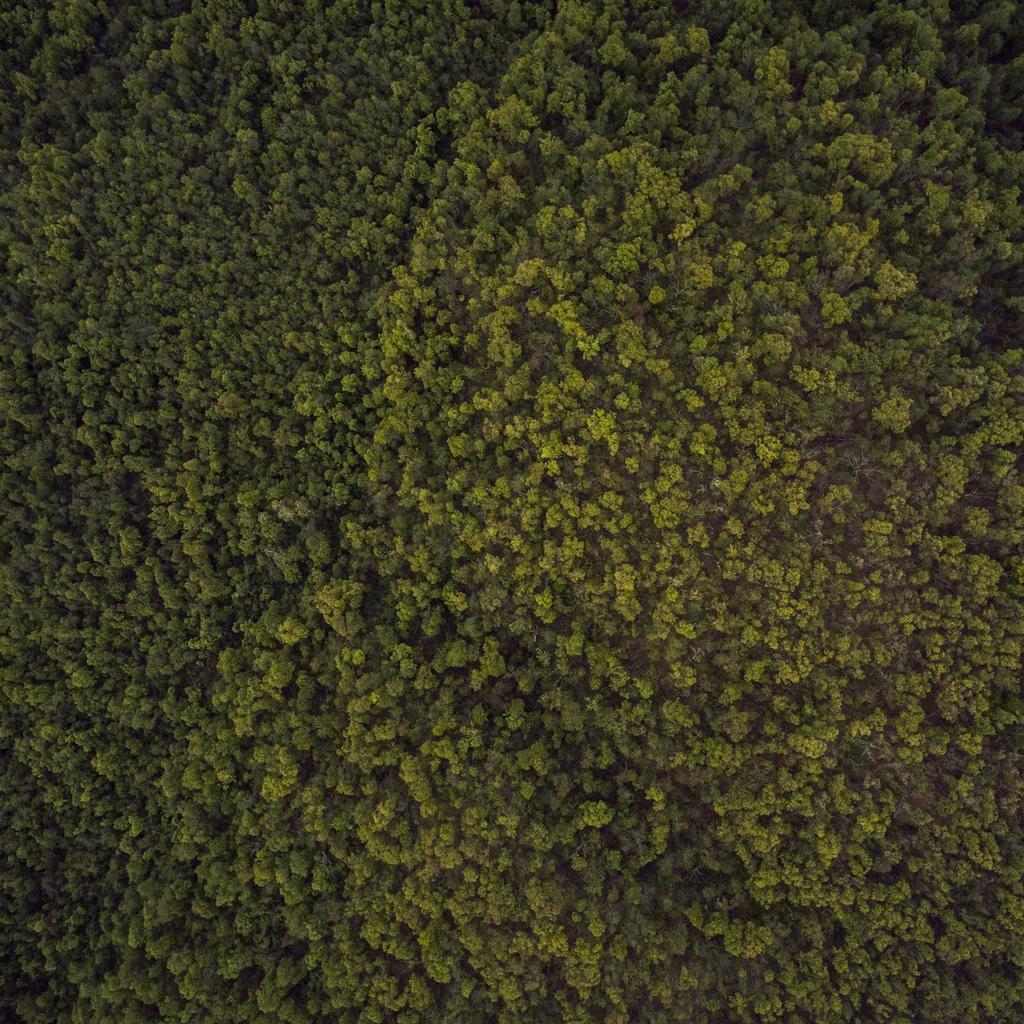 Doctor - professional stock photography