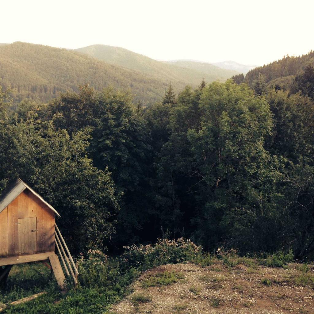 Doctor - professional stock photography